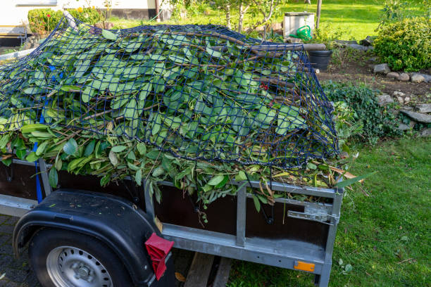 Shed Removal in Blackfoot, ID